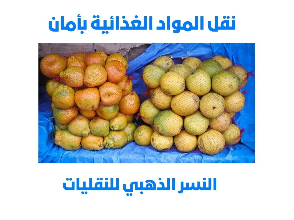 شركة نقل أغذية - نقل المواد الغذائية بأمان