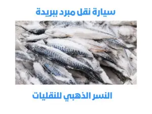 نقل منتجات مبردة من بريدة