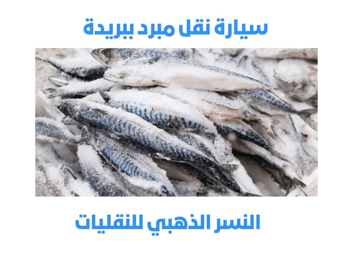 نقل منتجات مبردة من بريدة